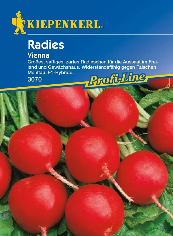 Radies Vienna F1 [MHD 01/2025]