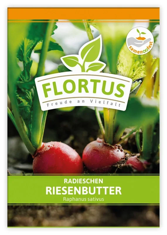 Radieschen Riesenbutter