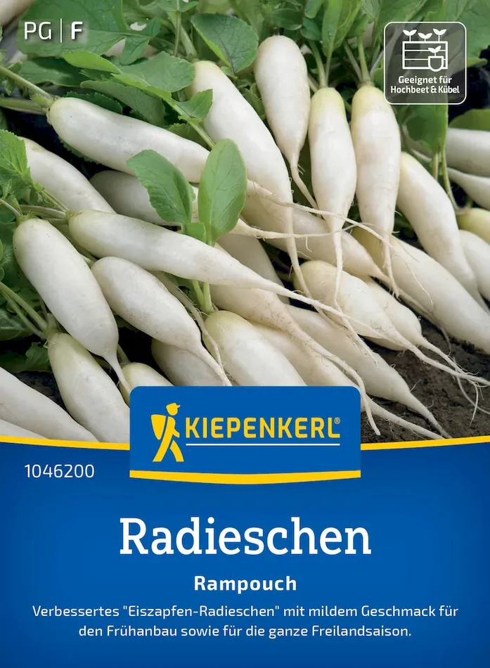 Radieschensamen Rampouch