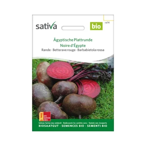 Rande Ägyptische Plattrunde Biosamen ra14