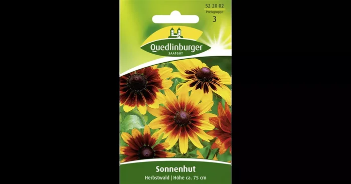 Rauer Sonnenhut-Samen ‚Herbstwald‘
