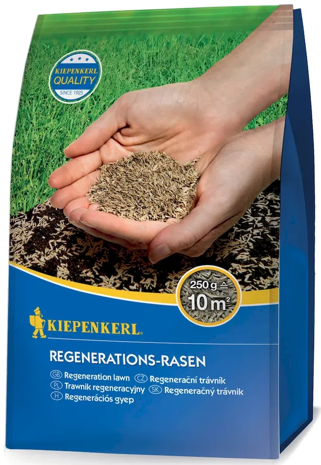 Regenerations-Rasensamen, 0,25 kg