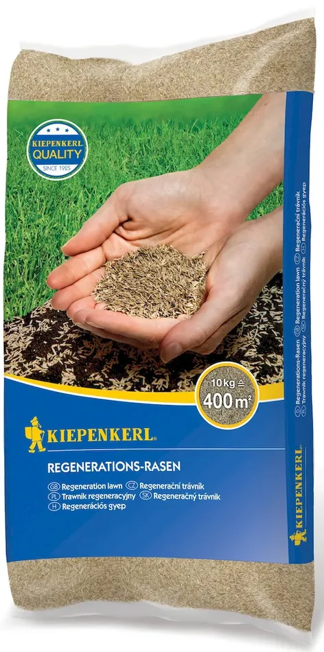 Regenerations-Rasensamen, 10 kg
