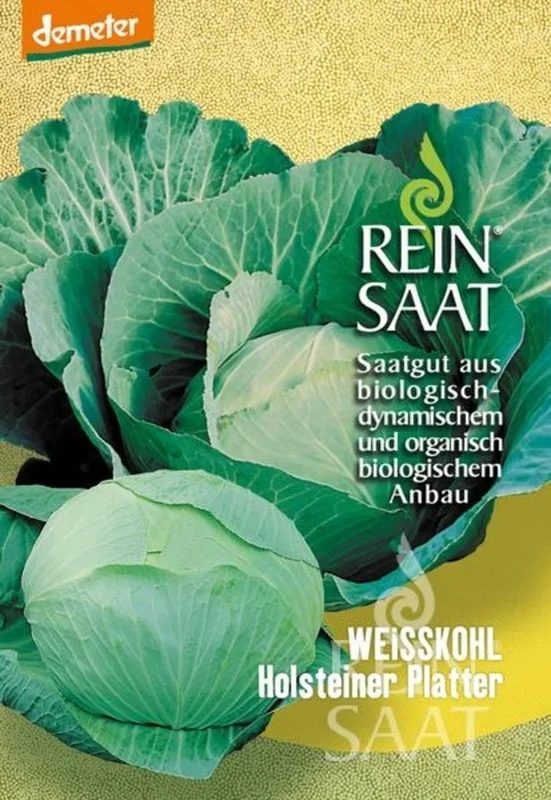 ReinSaat Einschneidekraut „Holsteiner Platter“