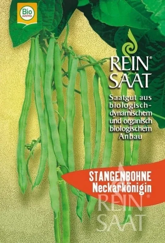 ReinSaat Grüne Stangenbohne „Neckarkönigin“