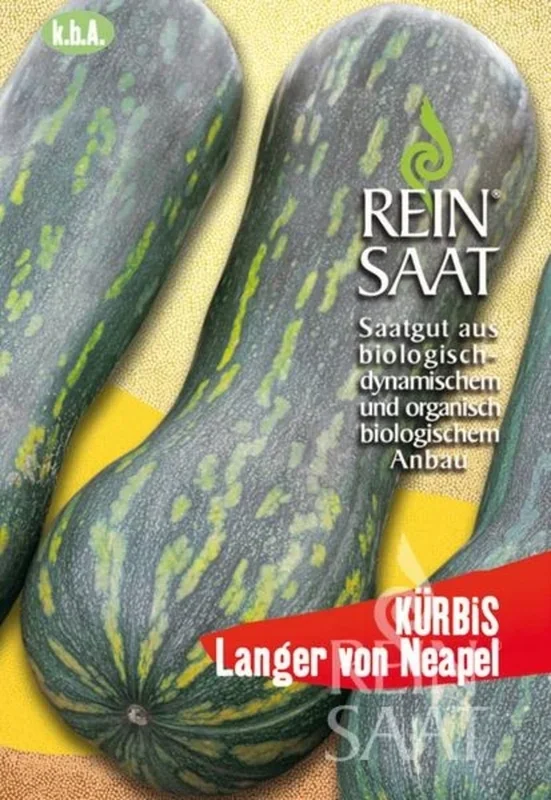 ReinSaat Kürbis „Langer von Neapel“