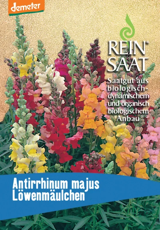 ReinSaat Löwenmäulchen