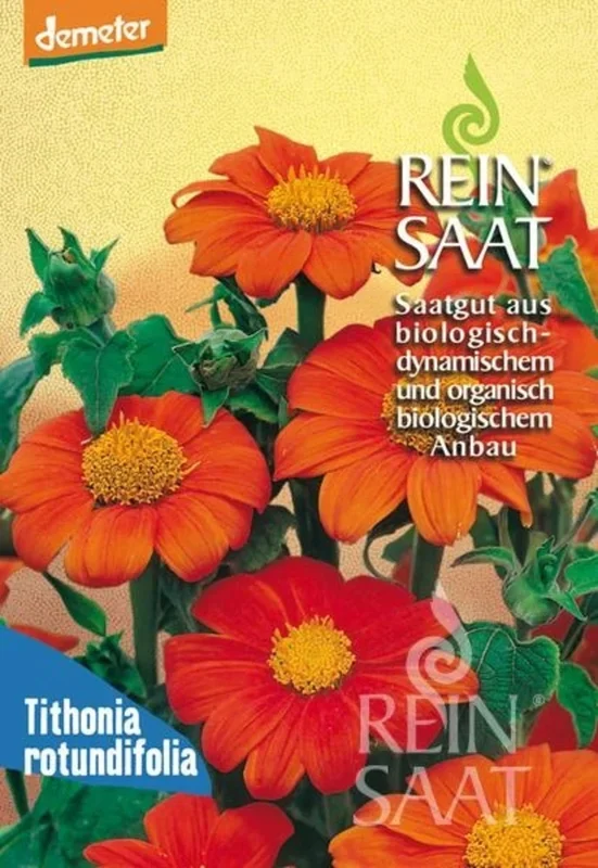 ReinSaat Mexikanische Sonnenblume
