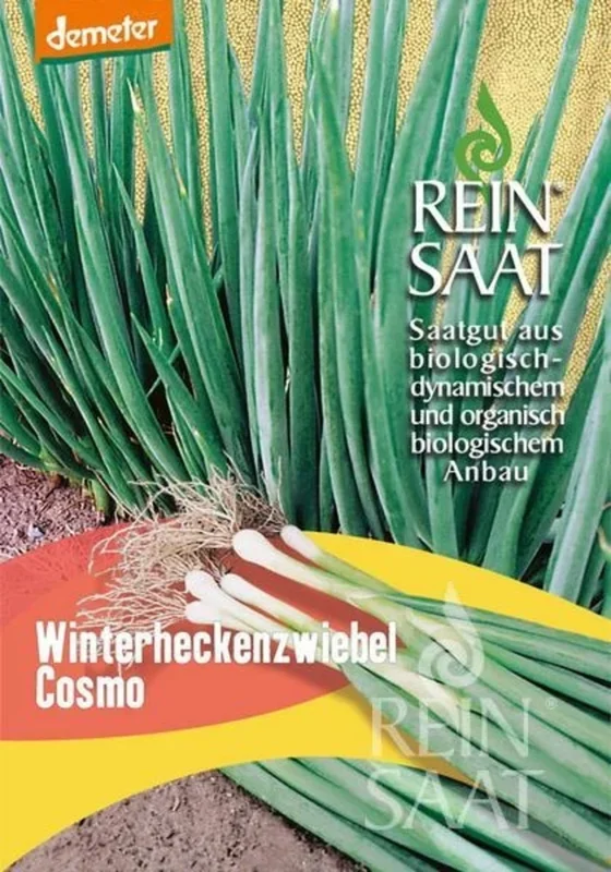 ReinSaat Winterheckenzwiebel Cosmo