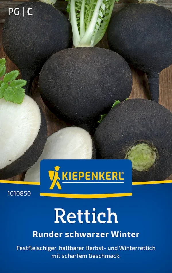 Rettichsamen Runder schwarzer Winter