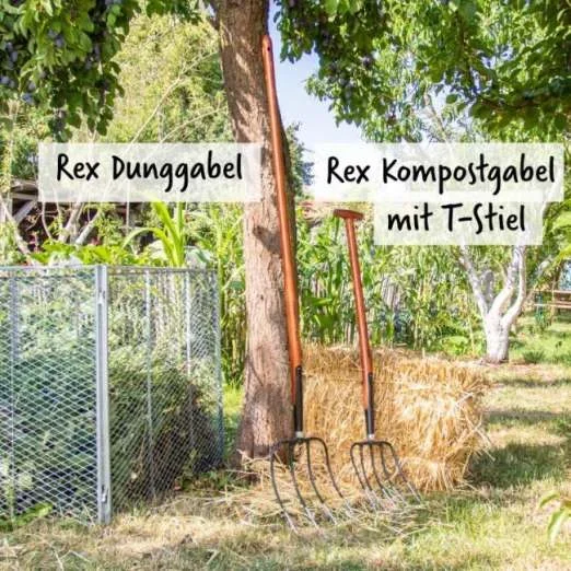 Rex Dunggabel