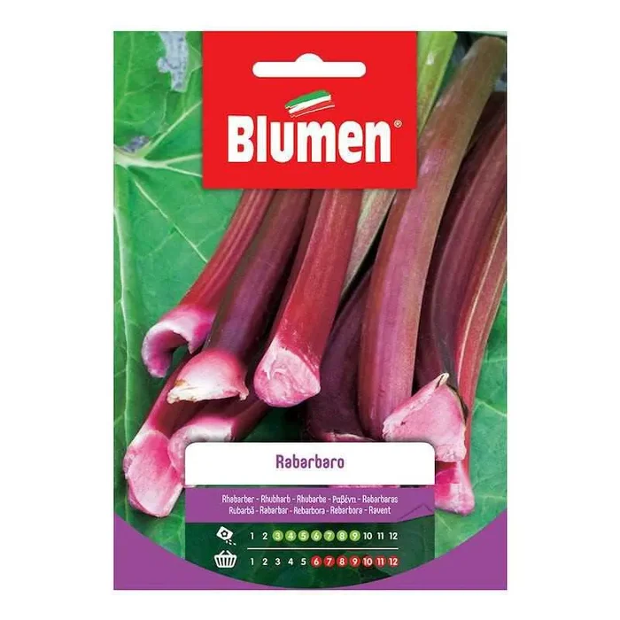 Rhabarbersamen in Tüte