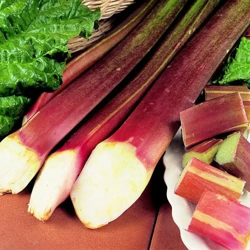Rhubarb Victoria