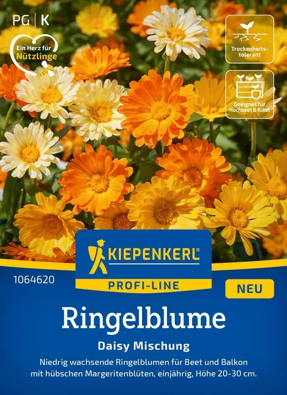 Ringelblume Daisy Mischung, für Beet und Balkon – hübsche Margeritenblüten – Nektarspender