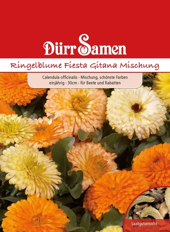 Ringelblume Fiesta Gitana Mischung