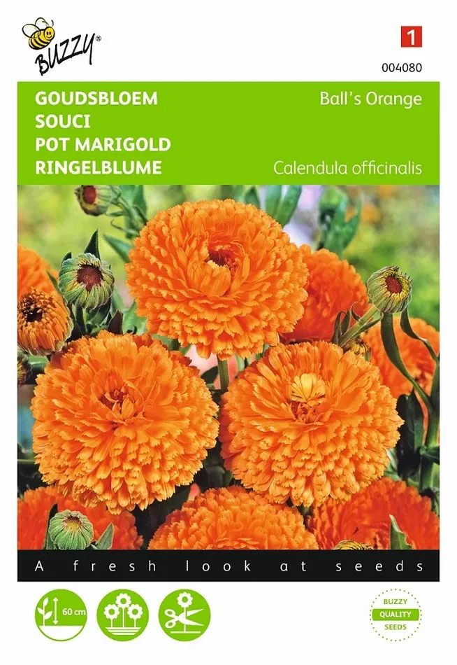 Ringelblume Samen ‚Ball’s Orange‘