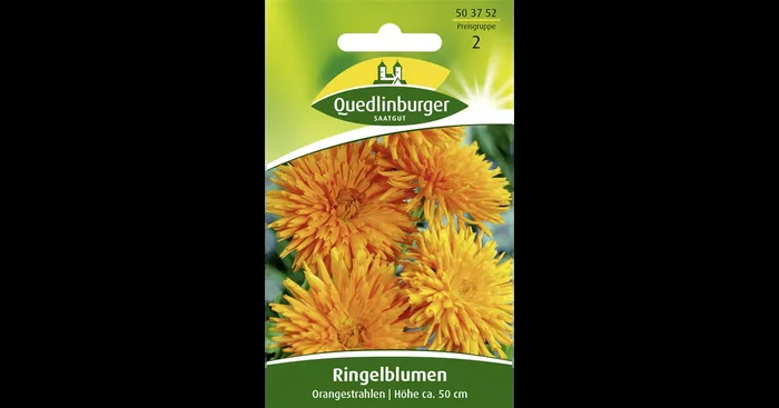 Ringelblumensamen ‚Orangestrahlen‘