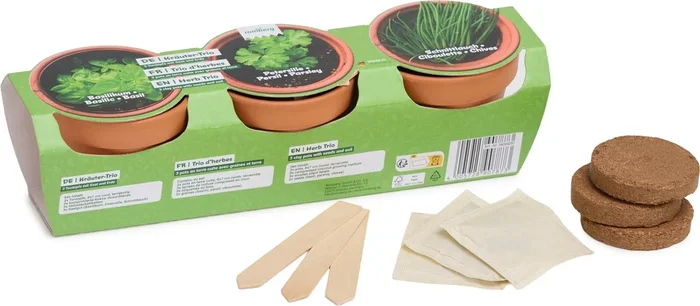Romberg Kräuter-Anzucht-Set mit Tontöpfen