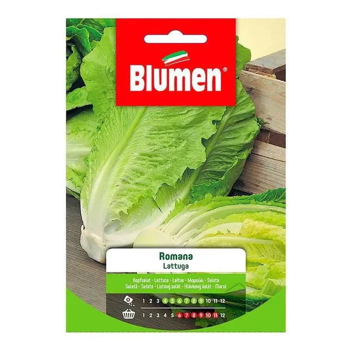Römersalatsamen in Tüte