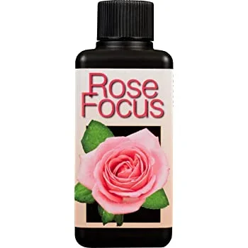 Rose Focus – Plant Food