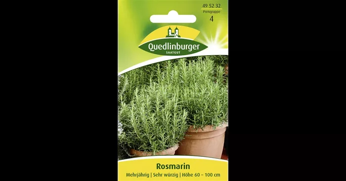 Rosmarinsamen