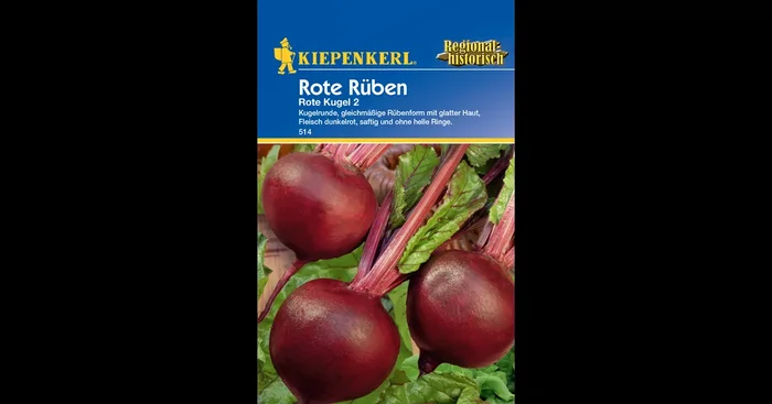 Rote Beete ‚Rote Kugel 2‘
