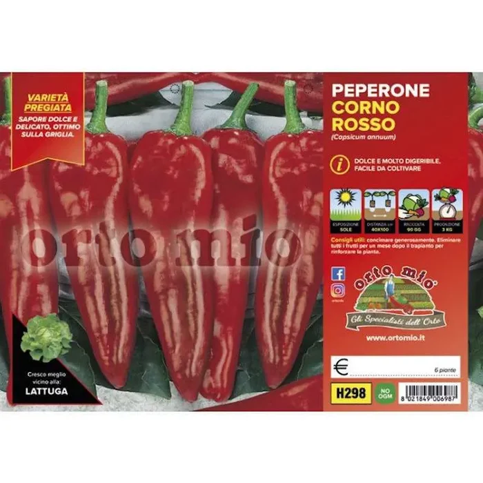 Rote Hornpfefferpflanzen Alceste F1