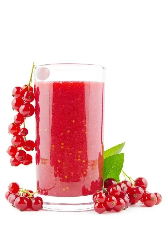 Rote Johannisbeere, Ribes rubrum