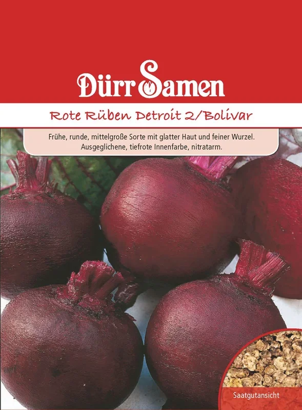 Rote Rübe Detroit 2 Bolivar