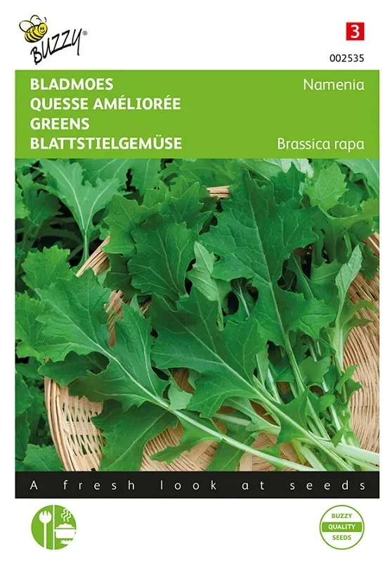 Rübstiel Samen Blattstielgemüse