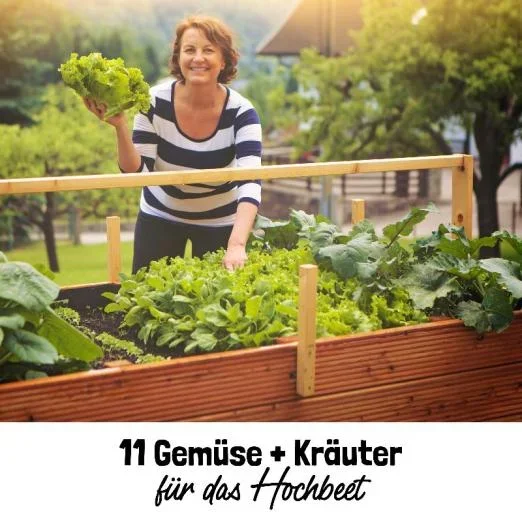Saatgut-GeschenksetAnfängergemüse für das Hochbeet