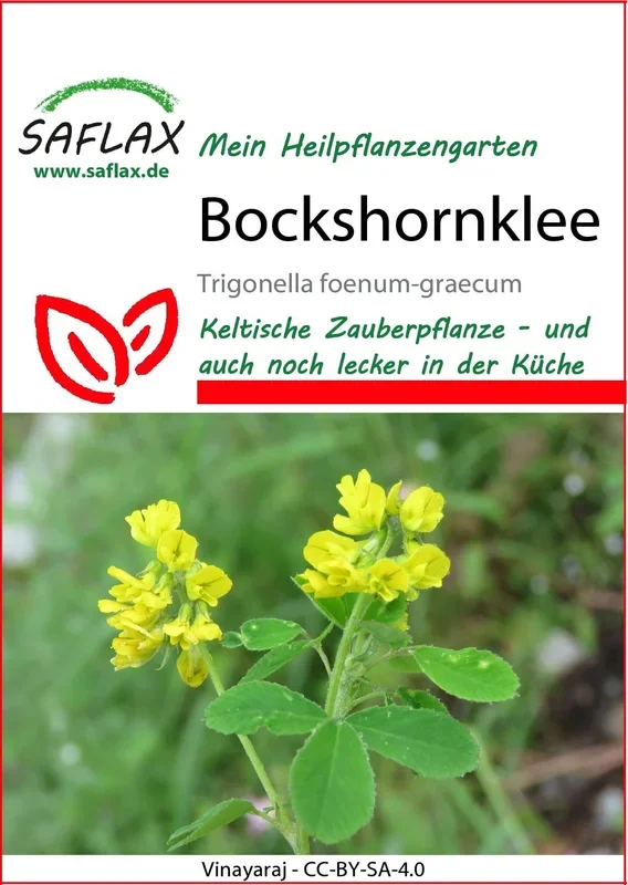 Saflax Bockshornklee