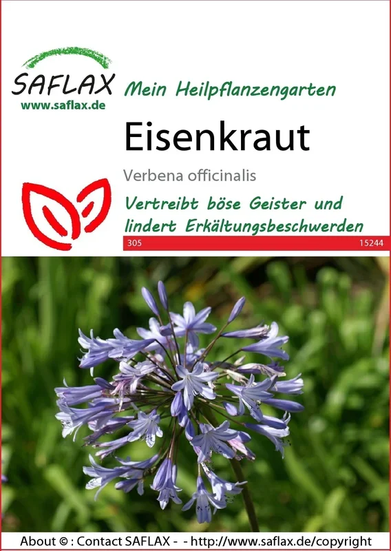 Saflax Eisenkraut