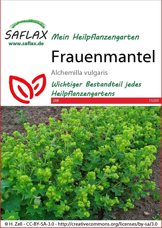 Saflax Frauenmantel