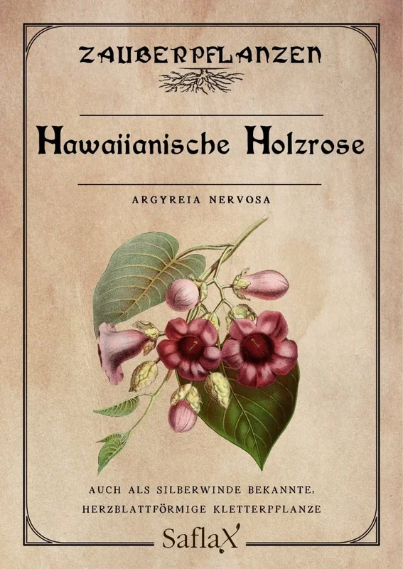 Saflax Hawaiianische Holzrose