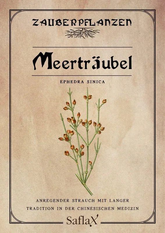Saflax Meerträubel