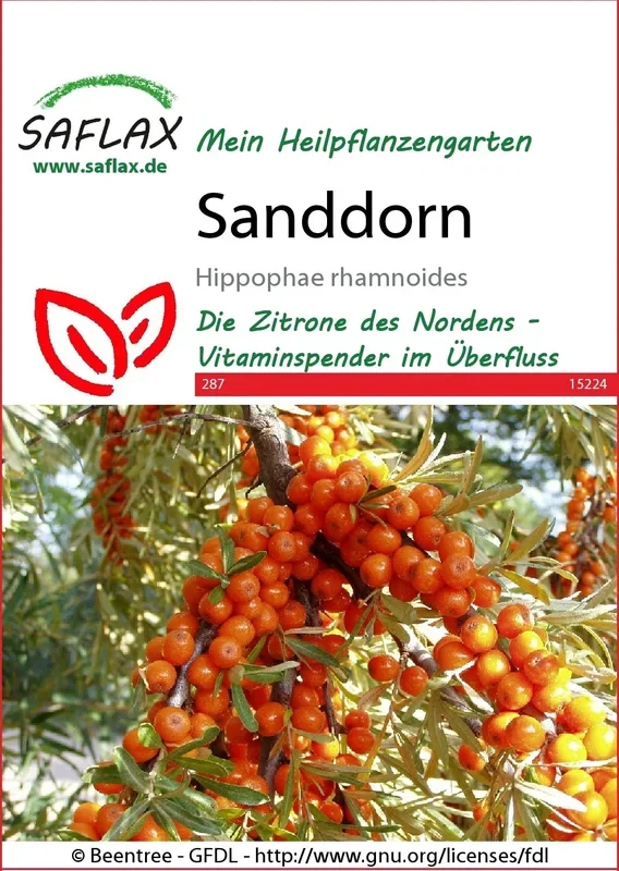 Saflax Sanddorn