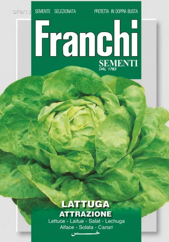 Salat Attractie [MHD 06/2024]