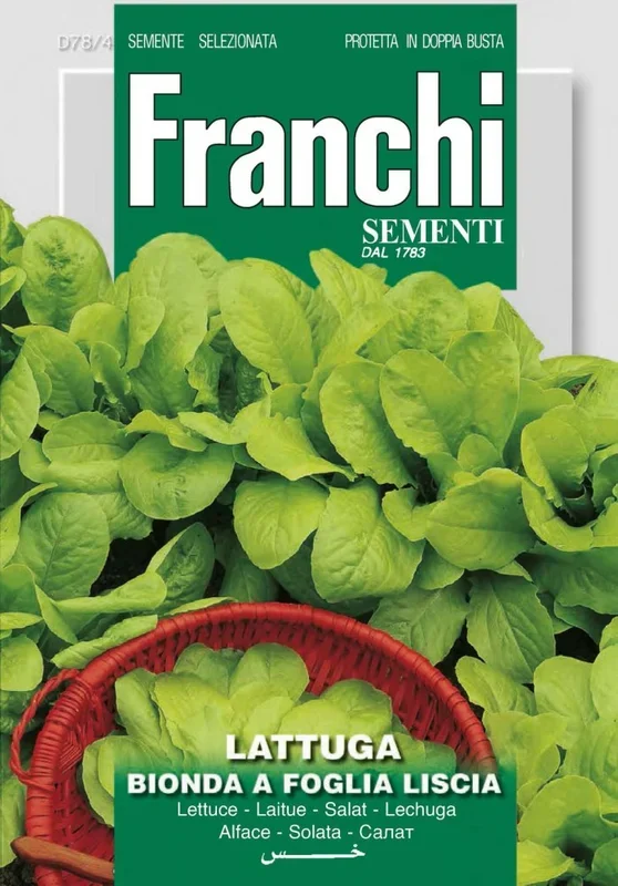 Salat Bionda A Foglia Liscia [MHD 06/2025]