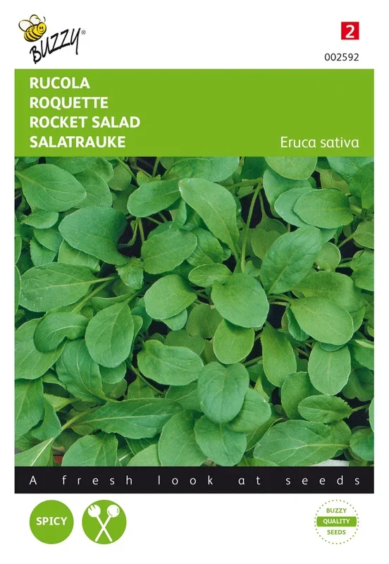 Salatrauke einjährig