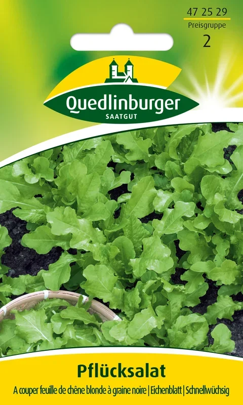 Salatsamen – Salat A couper feuille de chên [MHD 01/2026]