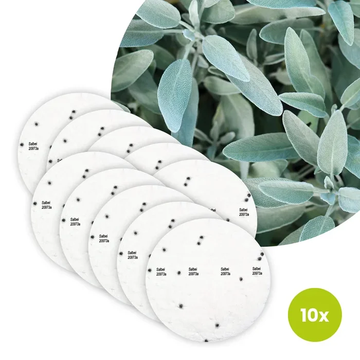 Salbei Bio-Kräuter – 10 Saatscheiben