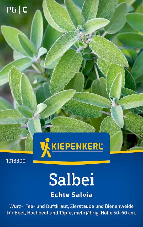 Salbeisamen Echte Salvia