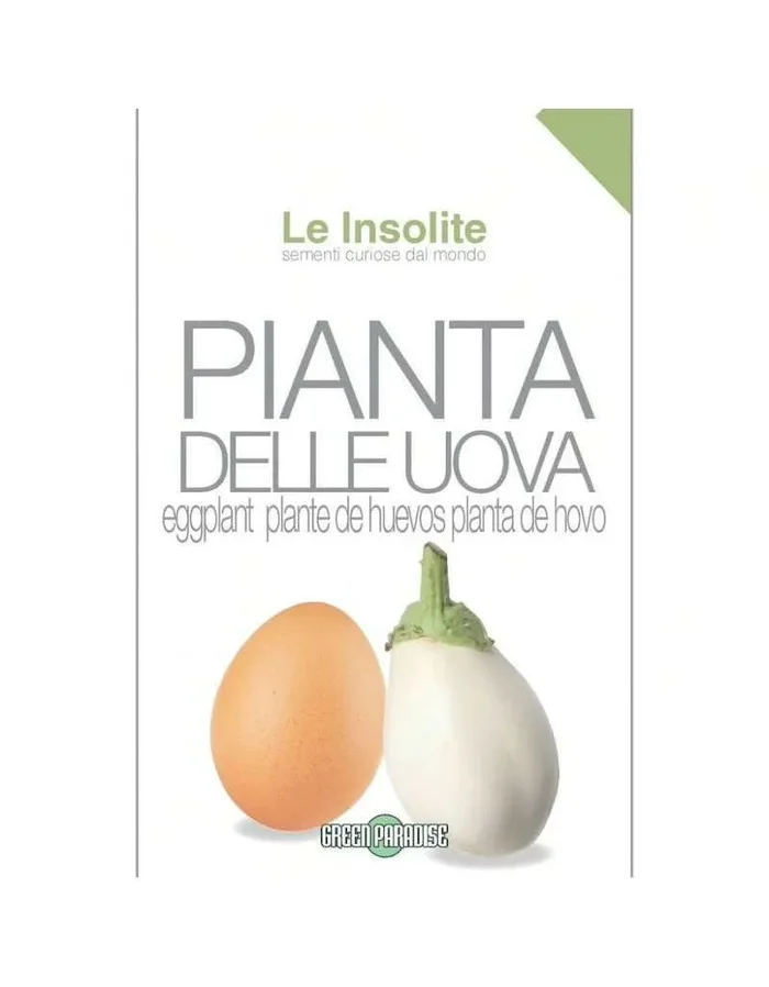 Samen in Bag Le Insolite – Aubergine