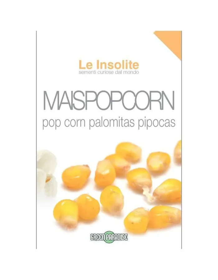 Samen in Bag Le Insolite – Mais Pop Corn