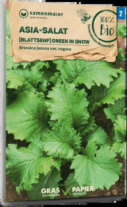 Samen Maier Bio Asia-Salat „Green in Snow“