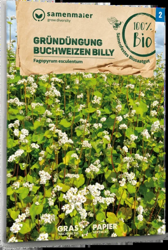 Samen Maier Bio Buchweizen „Billy“