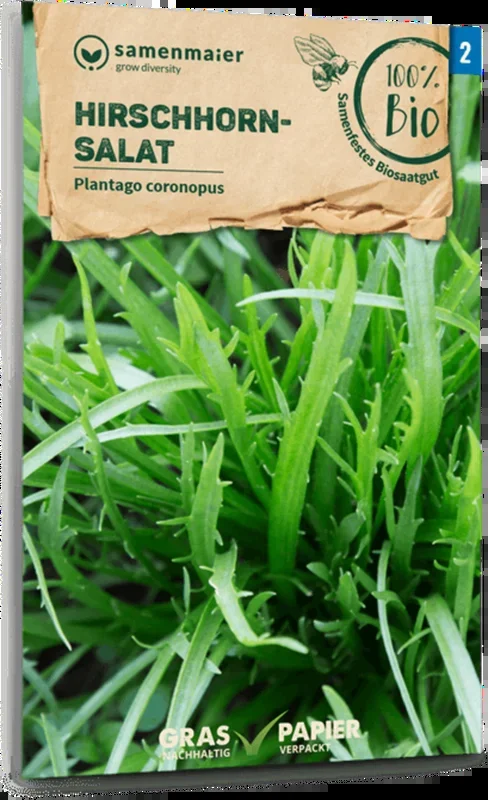Samen Maier Bio Hirschhornsalat