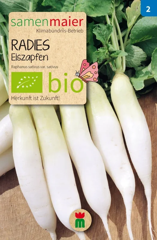 Samen Maier Bio Radies Eiszapfen