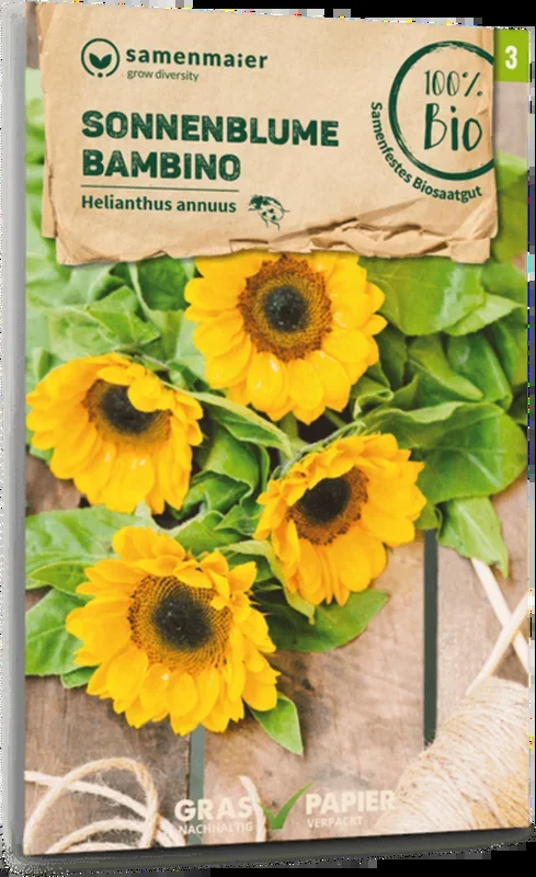 Samen Maier Bio Sonnenblume „Bambino“